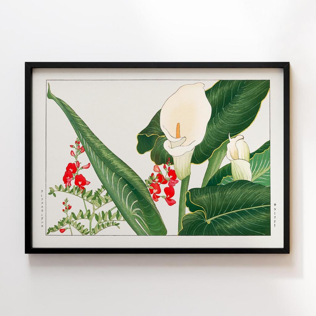 Постер Танігамі Конан (Tanigami Konan) TK06