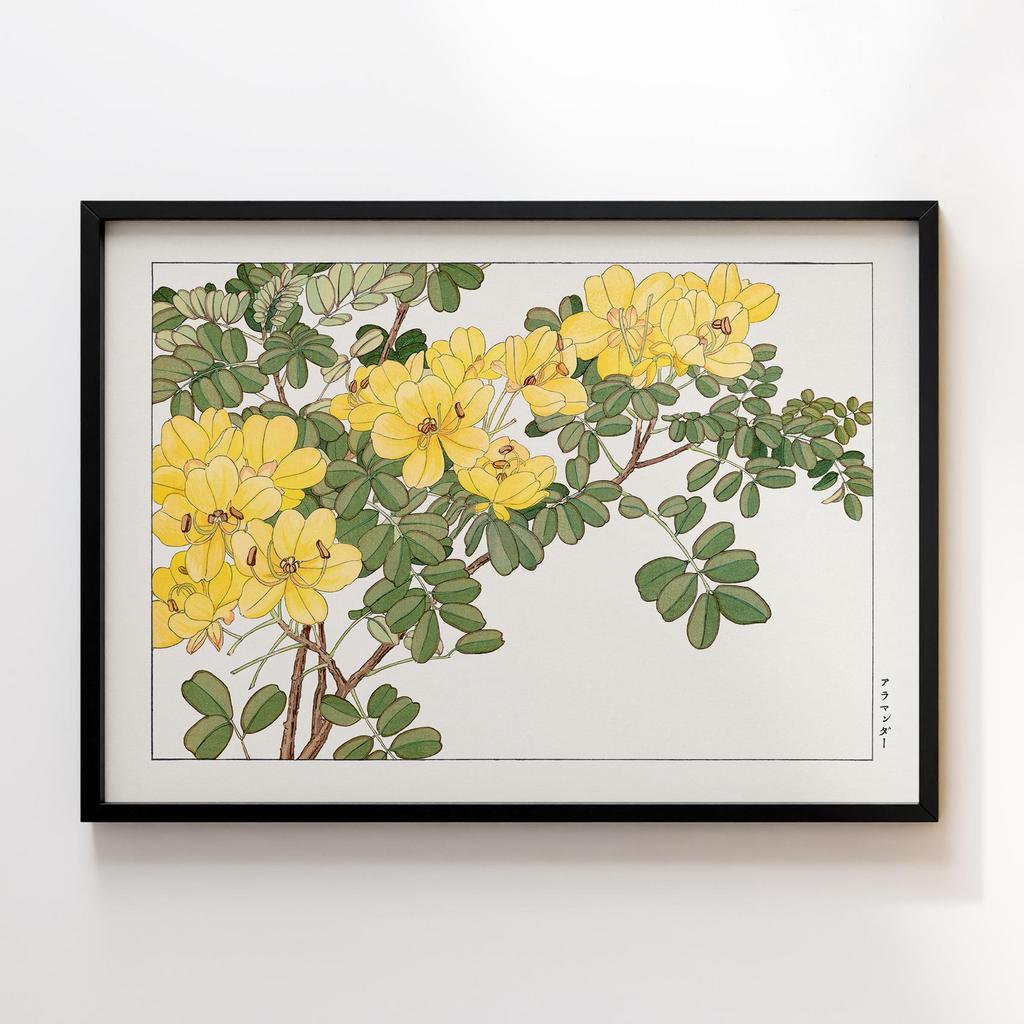 Постер Танігамі Конан (Tanigami Konan) TK08