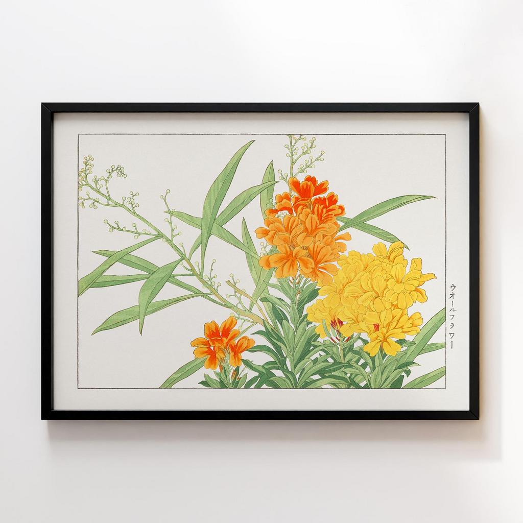 Постер Танігамі Конан (Tanigami Konan) TK09