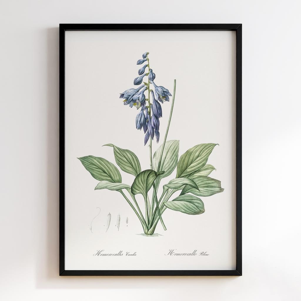 Постер Ботаніка BQ07