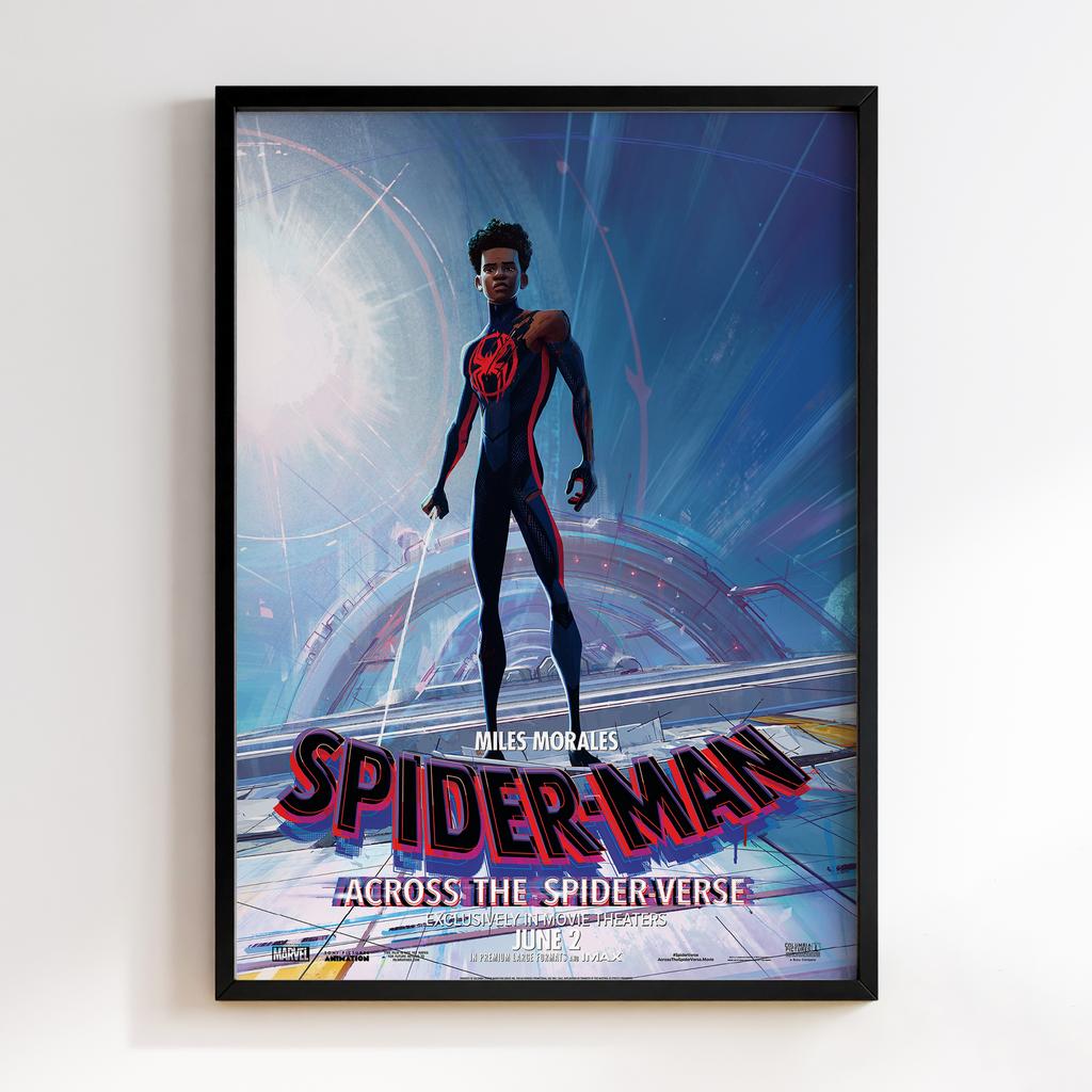 Постер Людина-Павук: Крізь Всесвіт (Spider-Man: Across the Spider-Verse) AD12