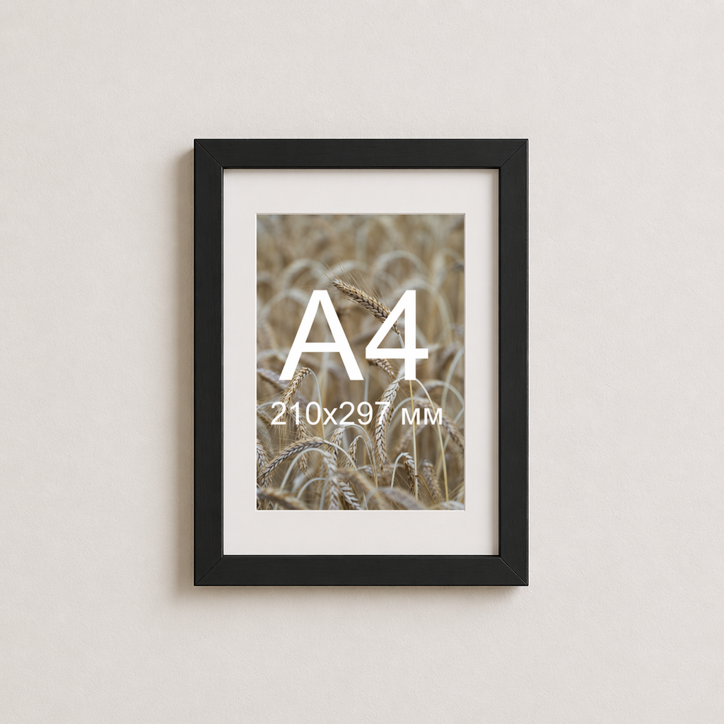 Чорна рама з паспарту настінна 25×34 см для формату А4 210х297 Black Frame
