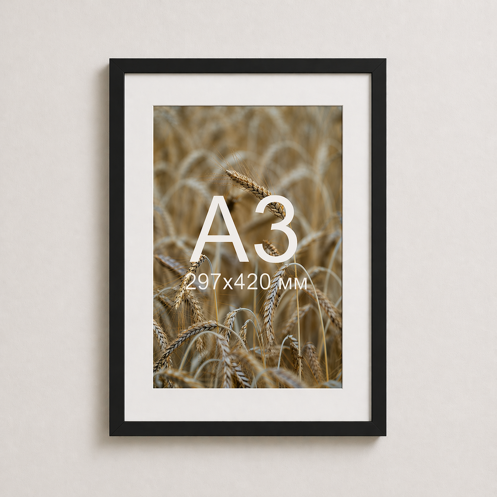 Чорна рама з паспарту пластикова настінна універсальна А3 Black Frame