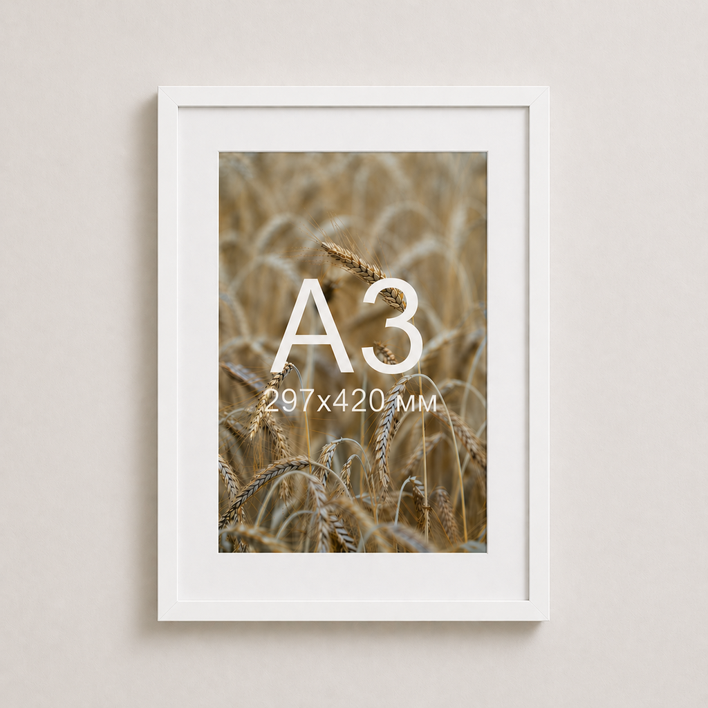 Біла рама з паспарту пластикова настінна універсальна А3 White Frame