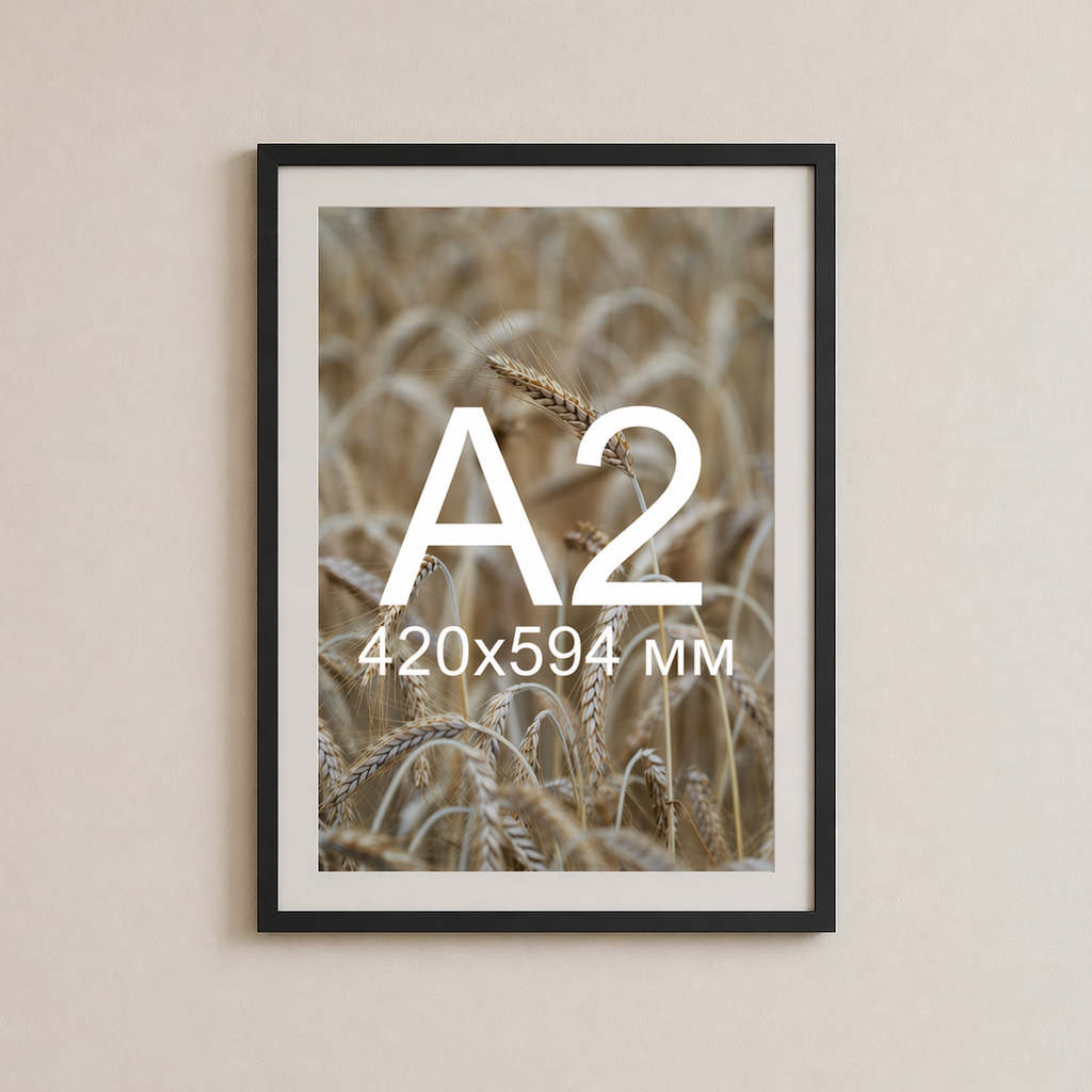 Чорна рама з паспарту пластикова настінна універсальна А2 Black Frame