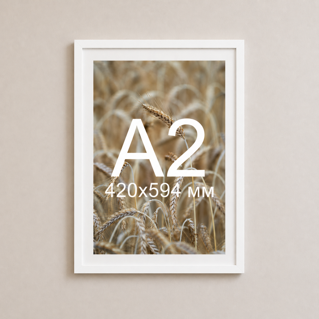 Біла рама з паспарту пластикова настінна універсальна А2 White Frame
