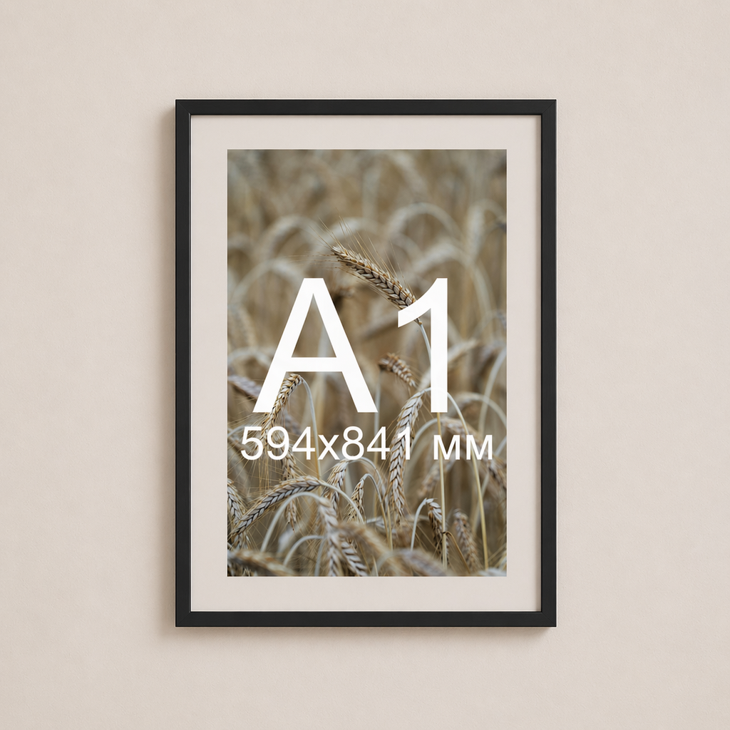 Чорна рама з паспарту пластикова настінна універсальна А1 Black Frame