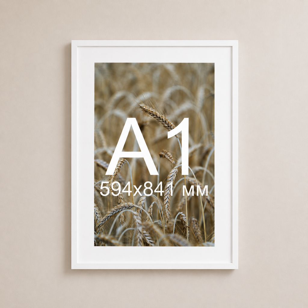 Біла рама з паспарту пластикова настінна універсальна А1 White Frame