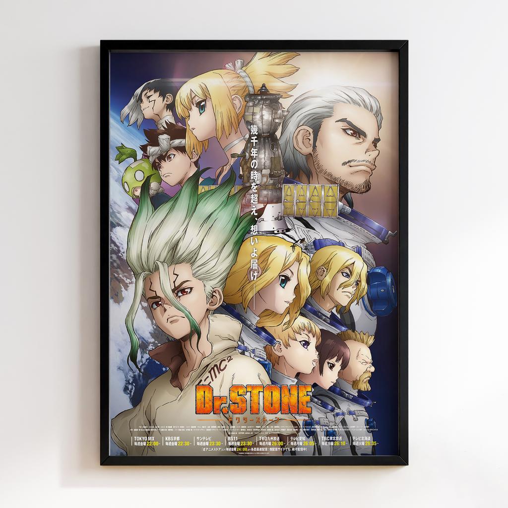 Постер Доктор Стоун (Dr. Stone) DT12