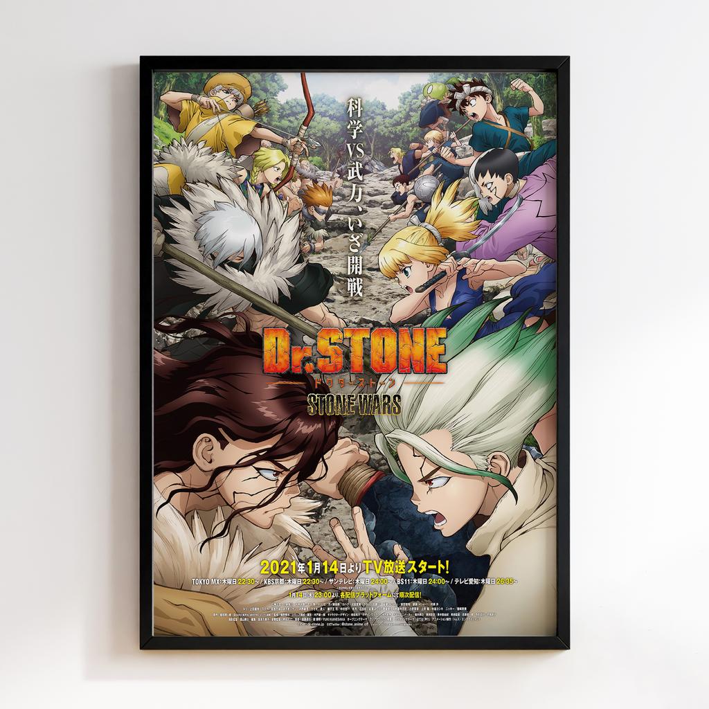 Постер Доктор Стоун (Dr. Stone) DT17