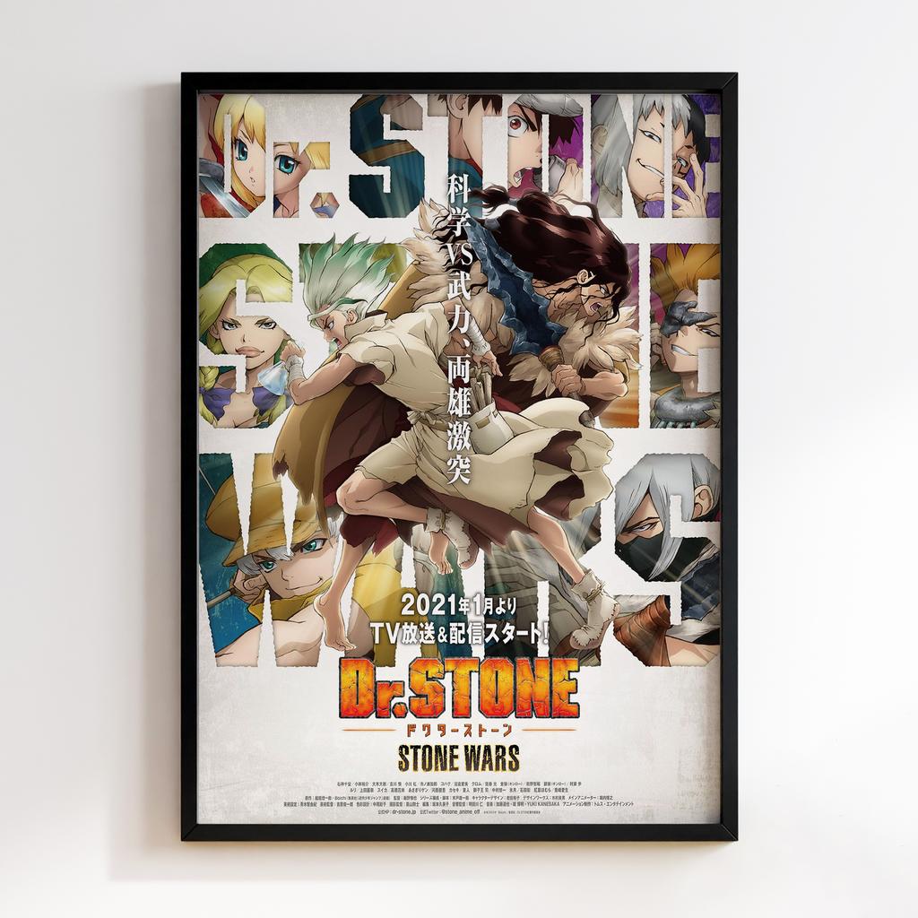 Постер Доктор Стоун (Dr. Stone) DT18