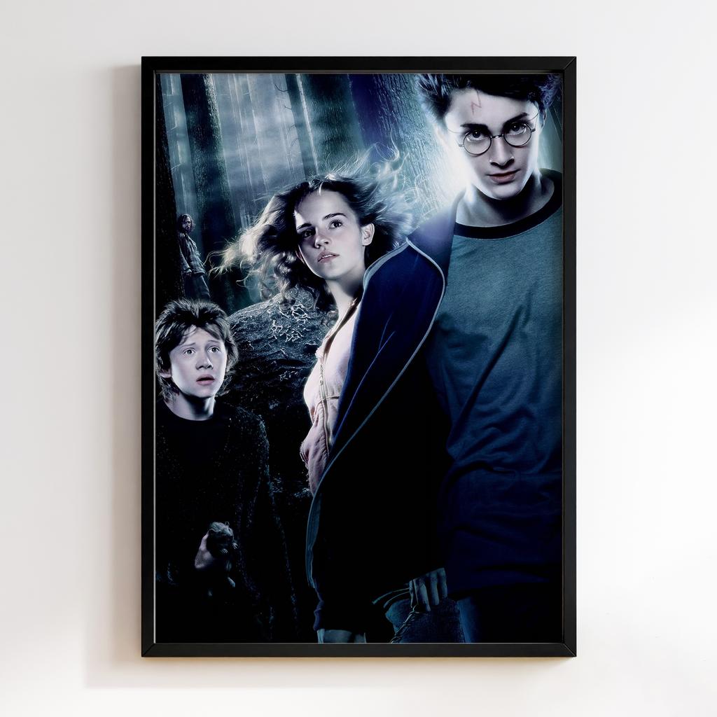 Постер Гаррі Поттер і В'язень Азкабана PPT71