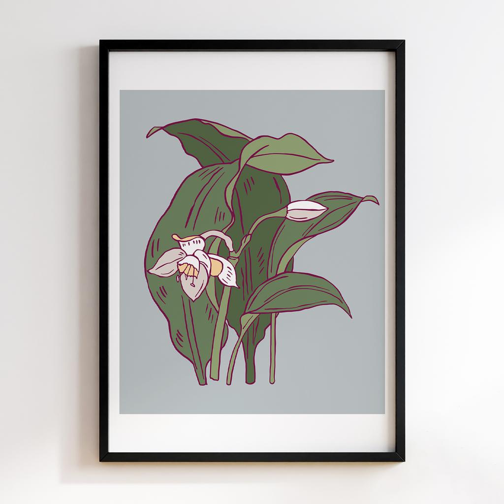 Постер Modern Flowers Art MF0441