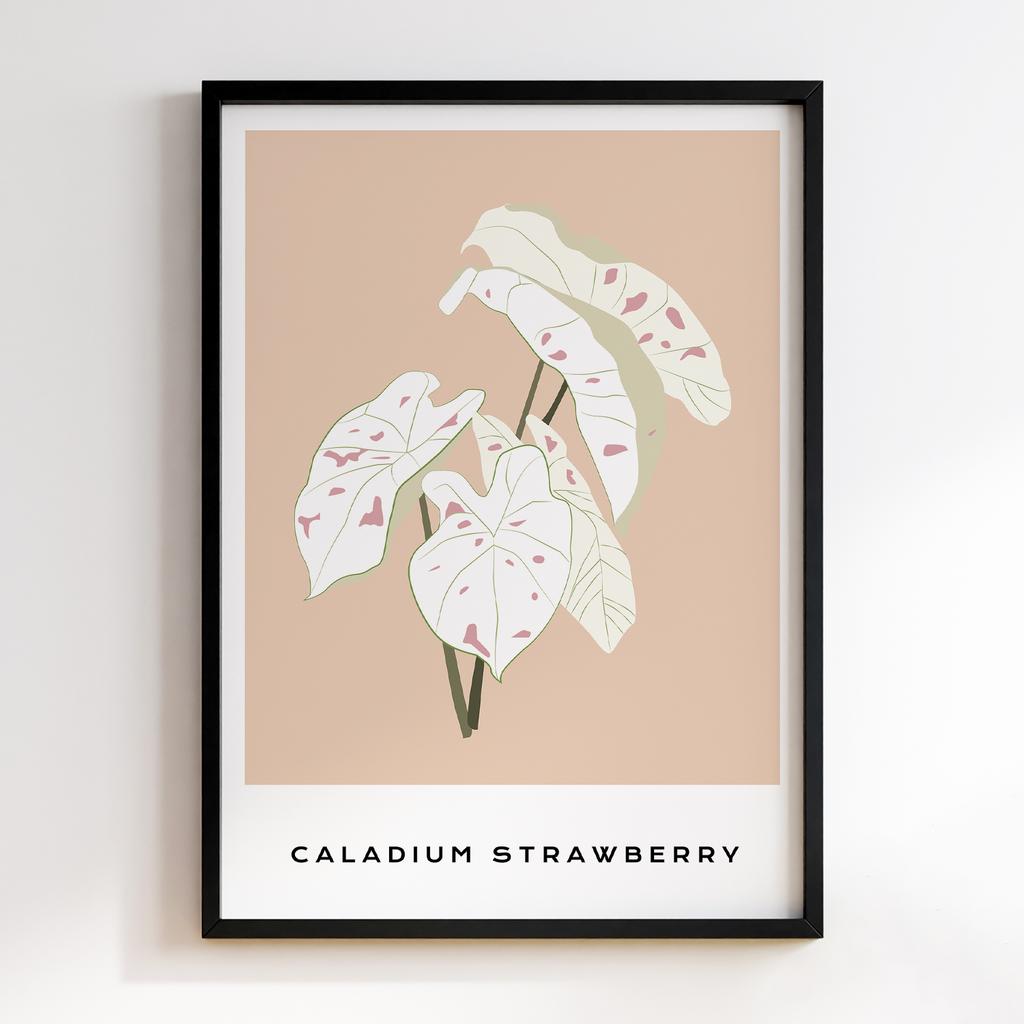 Постер Modern Flowers Art MF0572