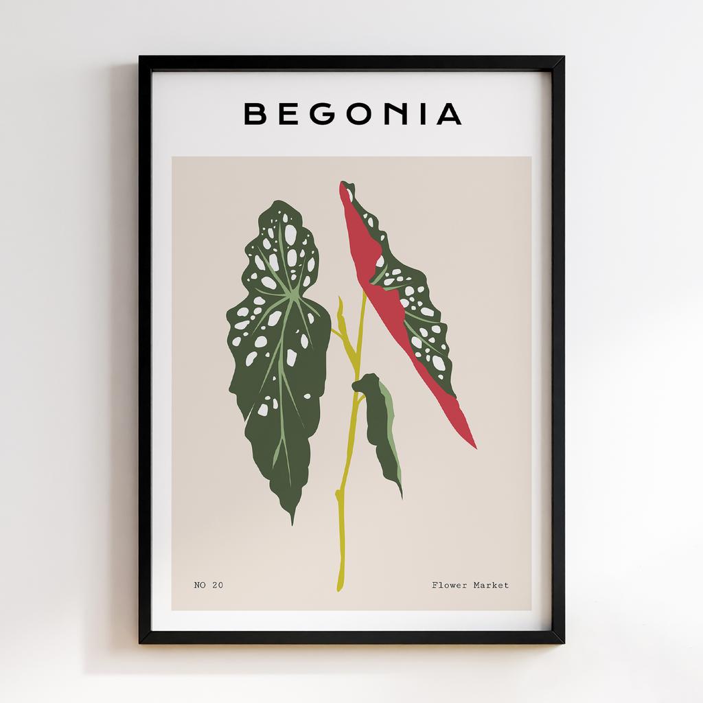 Постер Modern Flowers Art MF0881