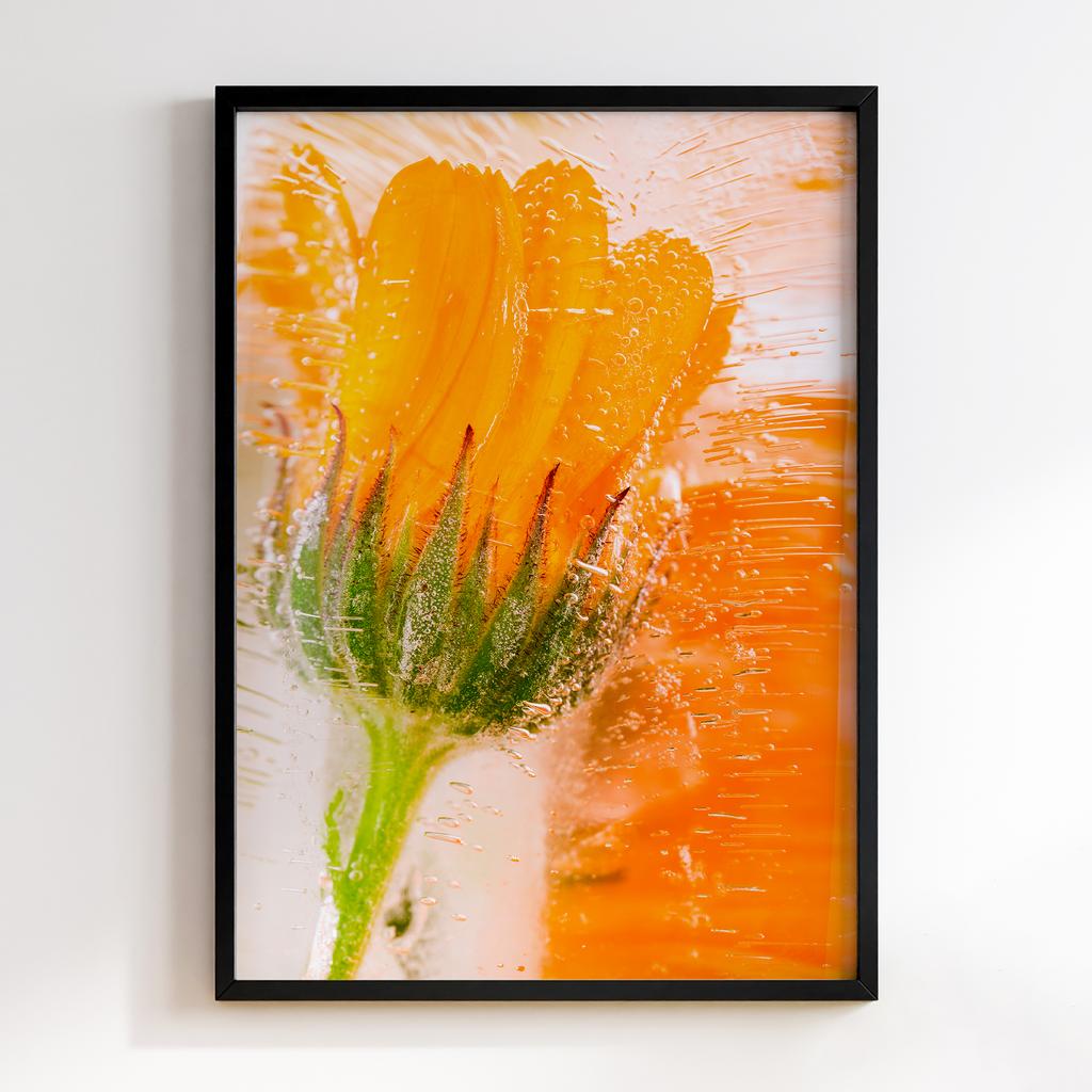 Постер Modern Flowers Art MF0938