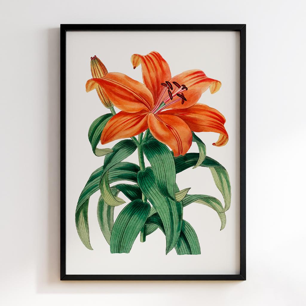 Постер Modern Flowers Art MF1327