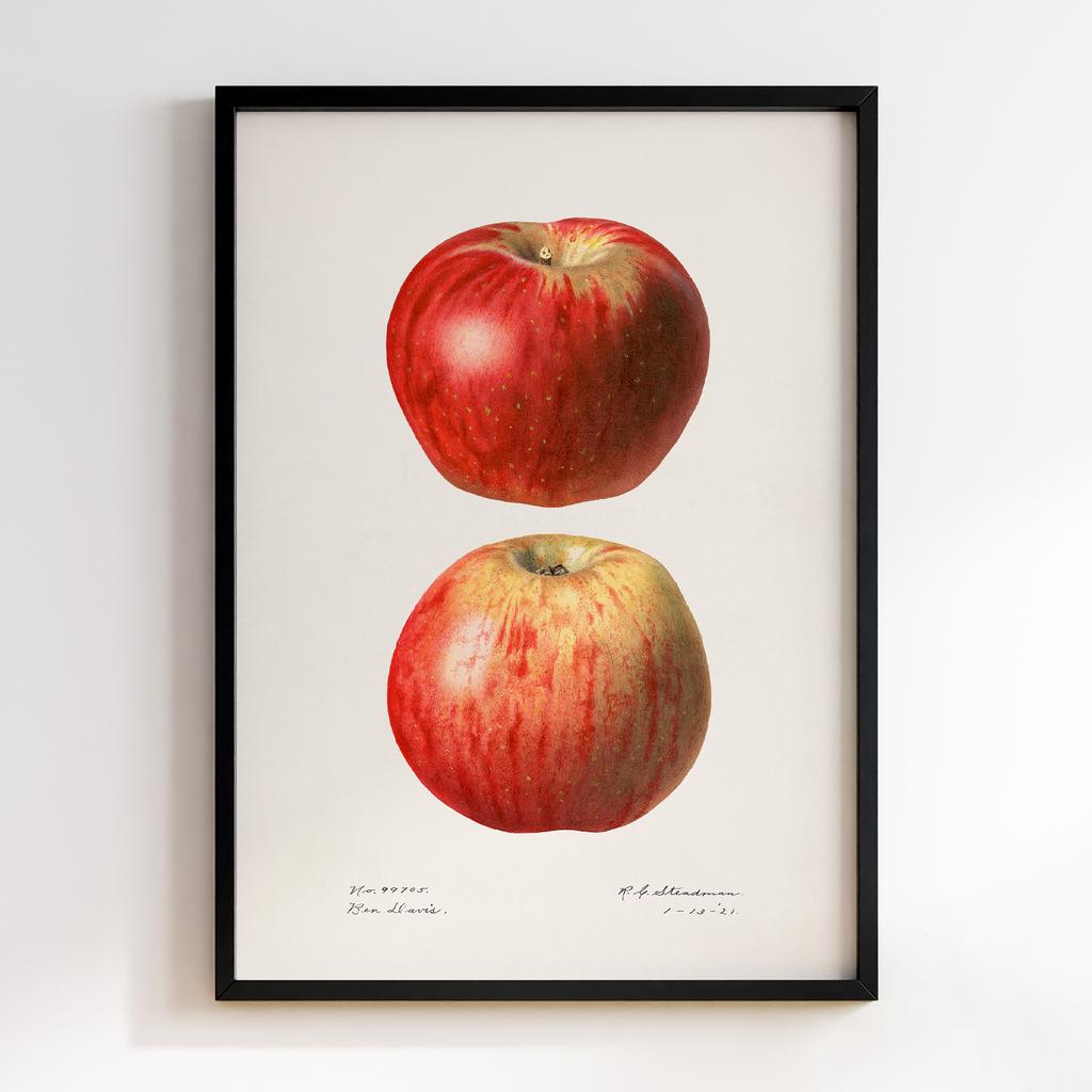 Постер на кухню Kitchen Modern Art KT001