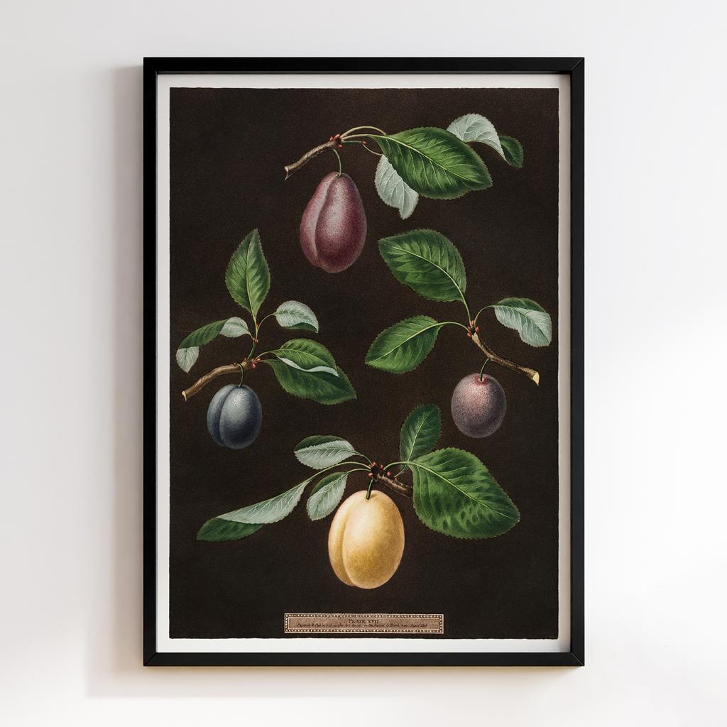 Постер на кухню Kitchen Modern Art KT002