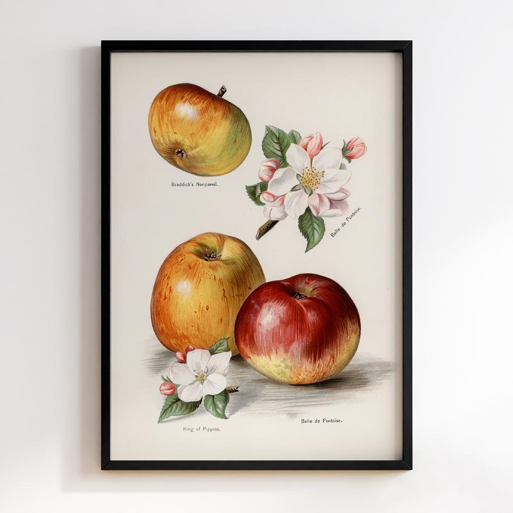 Постер на кухню Kitchen Modern Art KT003