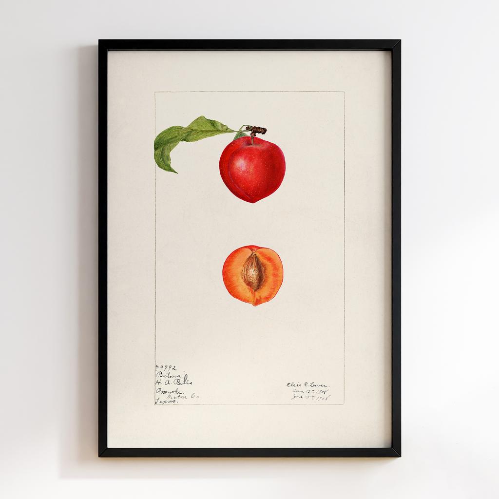 Постер на кухню Kitchen Modern Art KT004