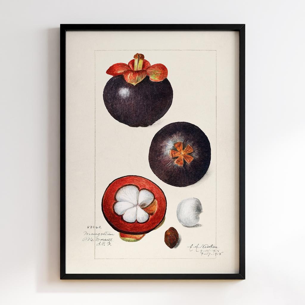 Постер на кухню Kitchen Modern Art KT005