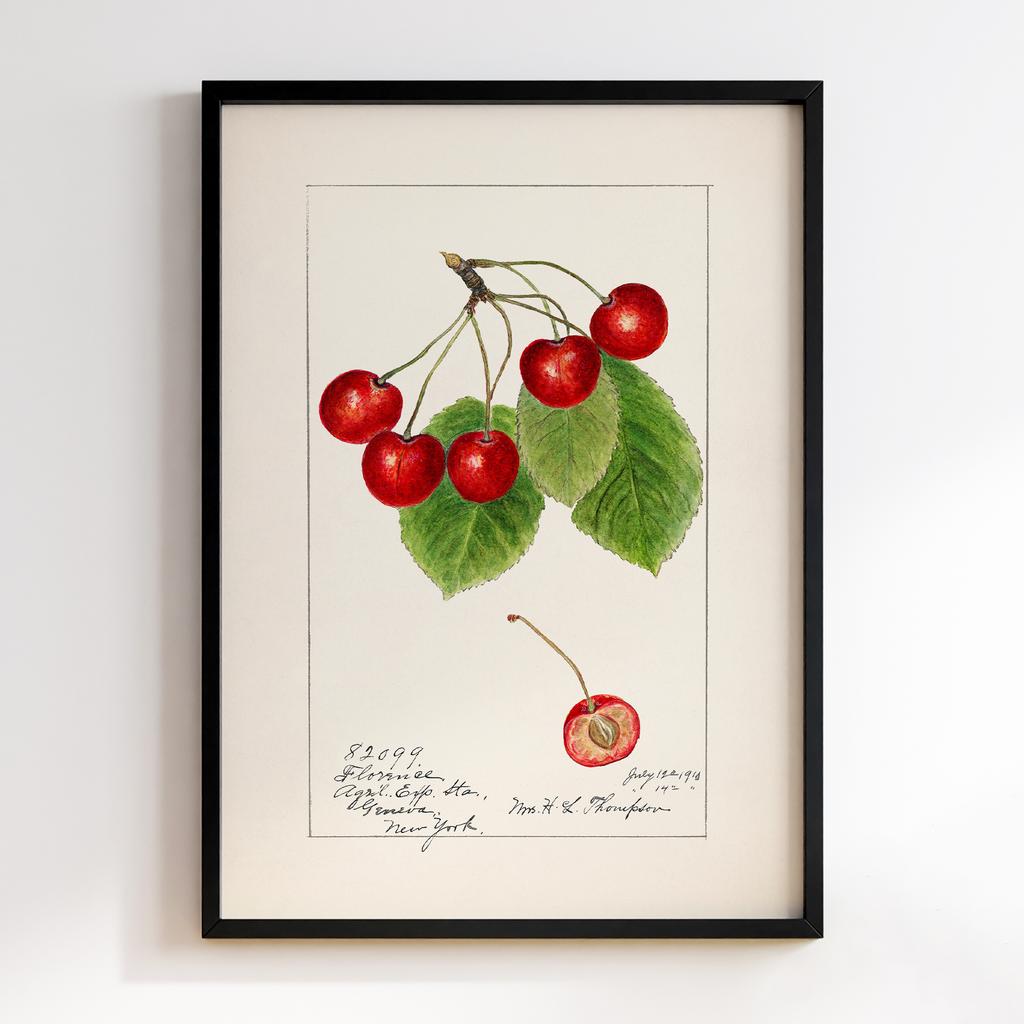 Постер на кухню Kitchen Modern Art KT006