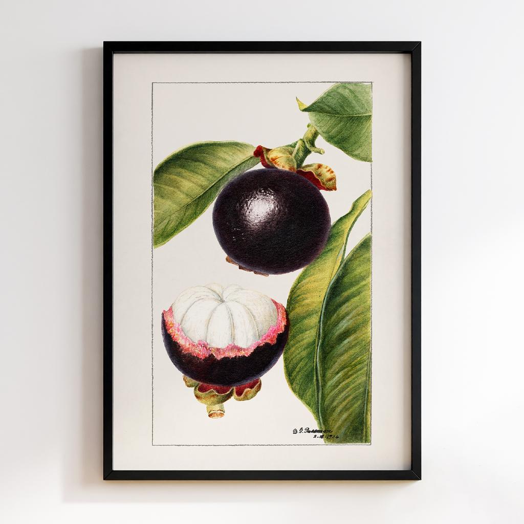 Постер на кухню Kitchen Modern Art KT007