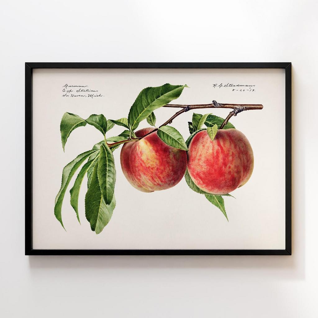 Постер на кухню Kitchen Modern Art KT008