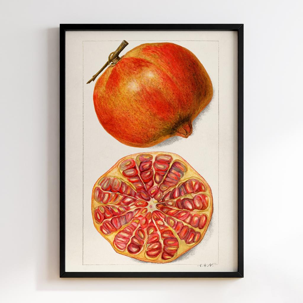 Постер на кухню Kitchen Modern Art KT009