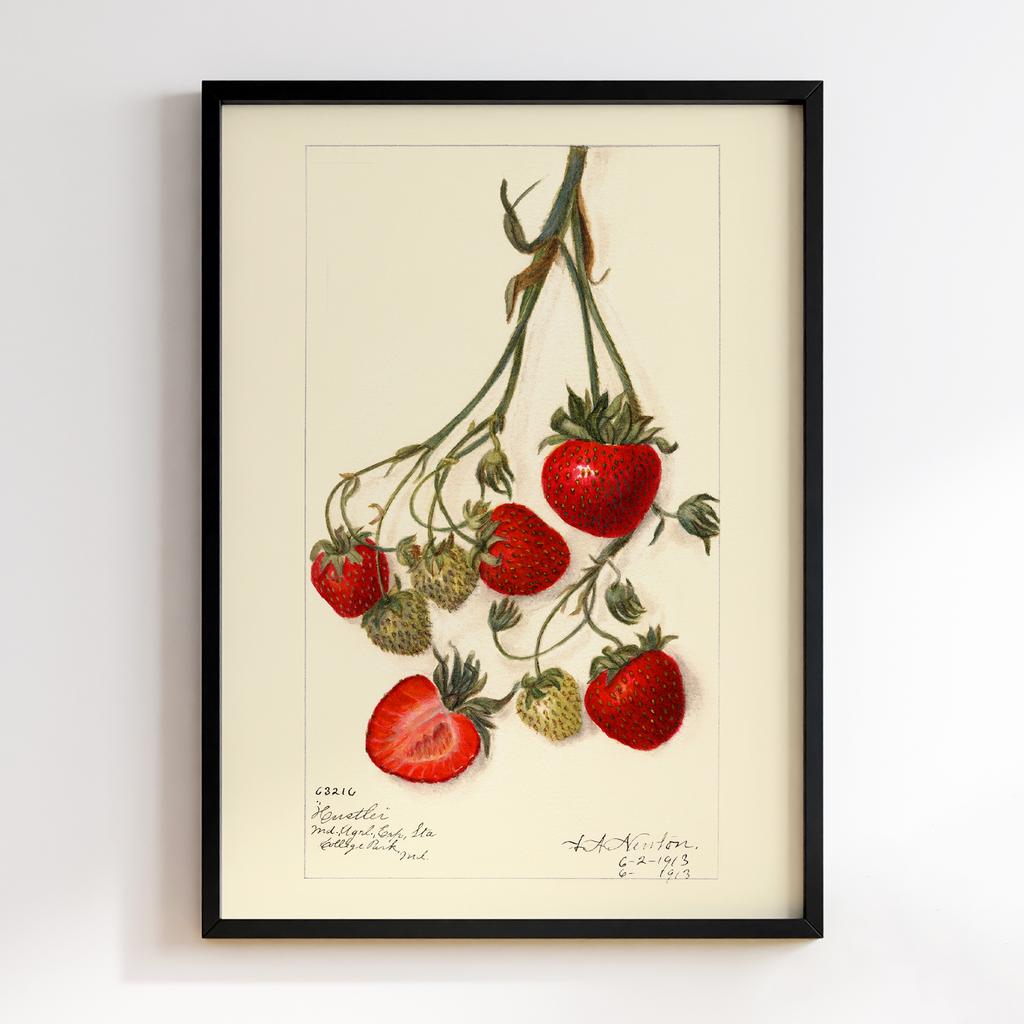 Постер на кухню Kitchen Modern Art KT032