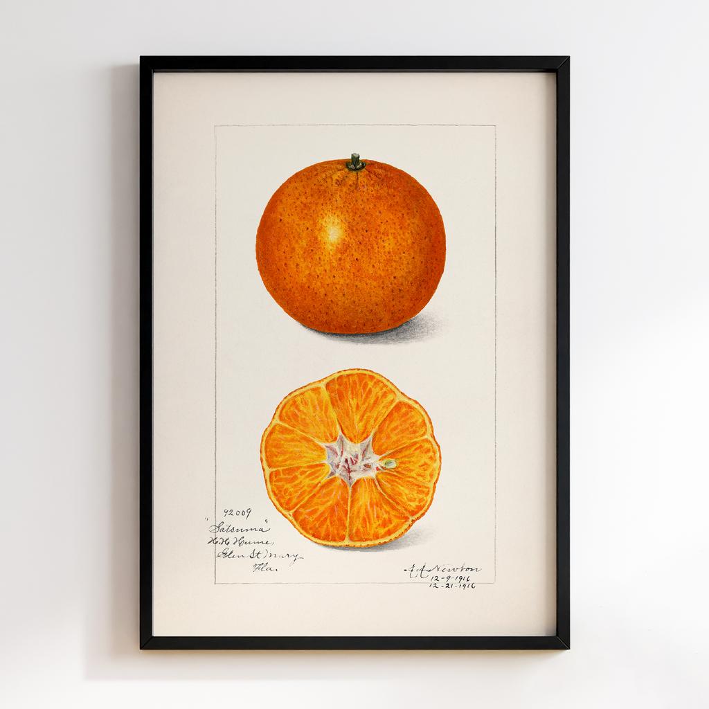 Постер на кухню Kitchen Modern Art KT053