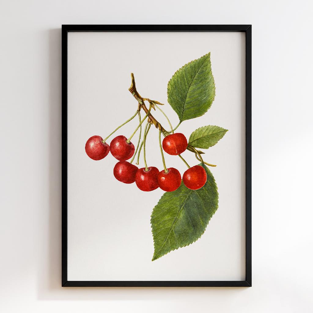 Постер на кухню Kitchen Modern Art KT055