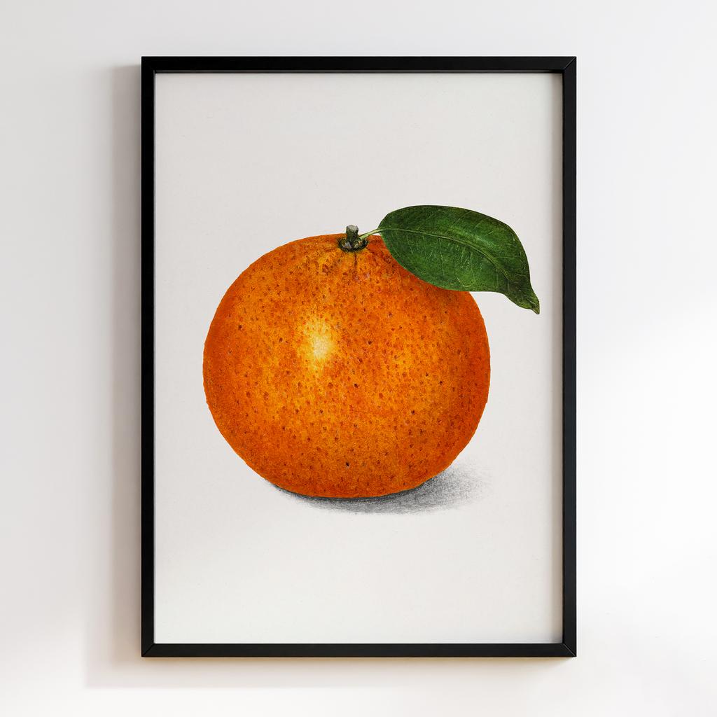 Постер на кухню Kitchen Modern Art KT057