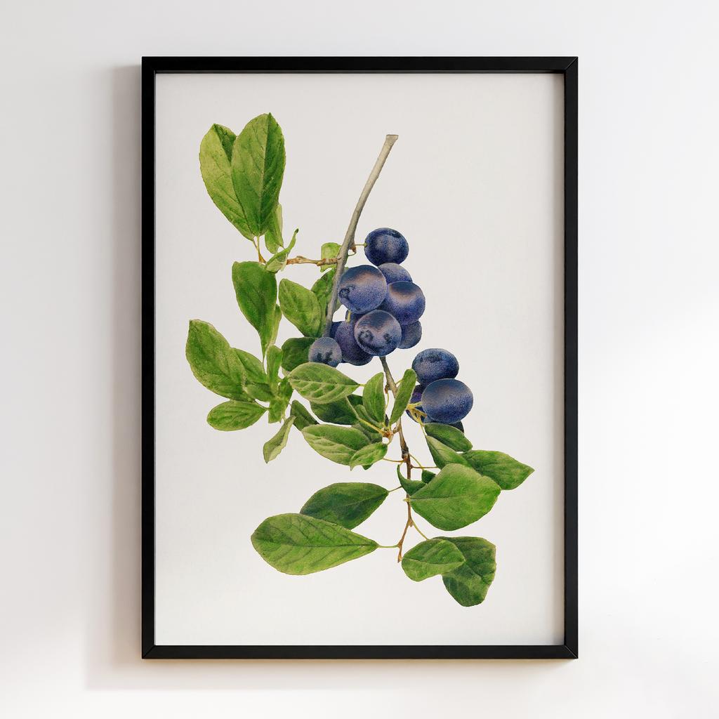 Постер на кухню Kitchen Modern Art KT059