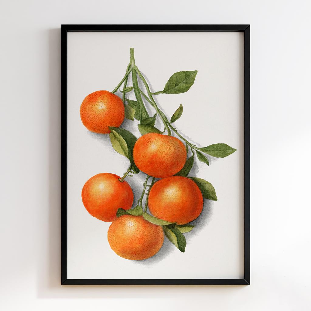 Постер на кухню Kitchen Modern Art KT060