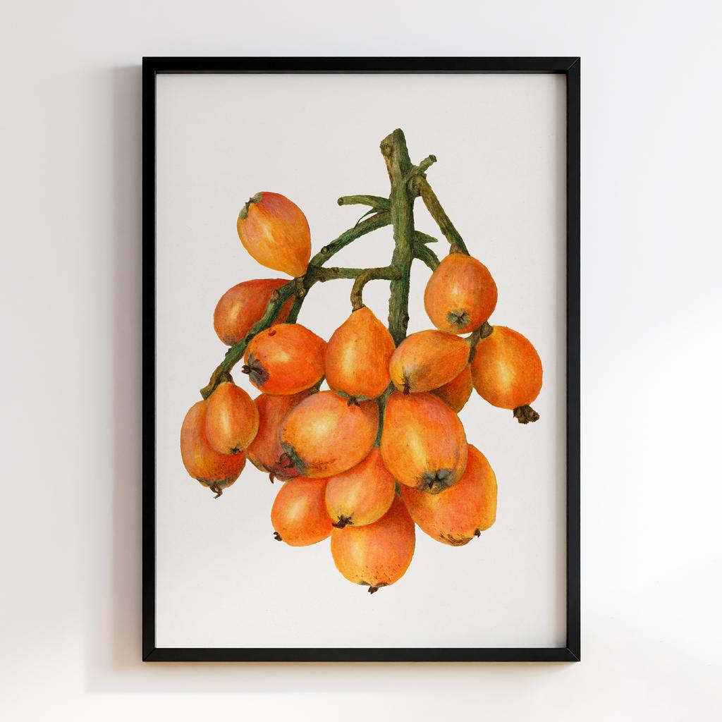 Постер на кухню Kitchen Modern Art KT062