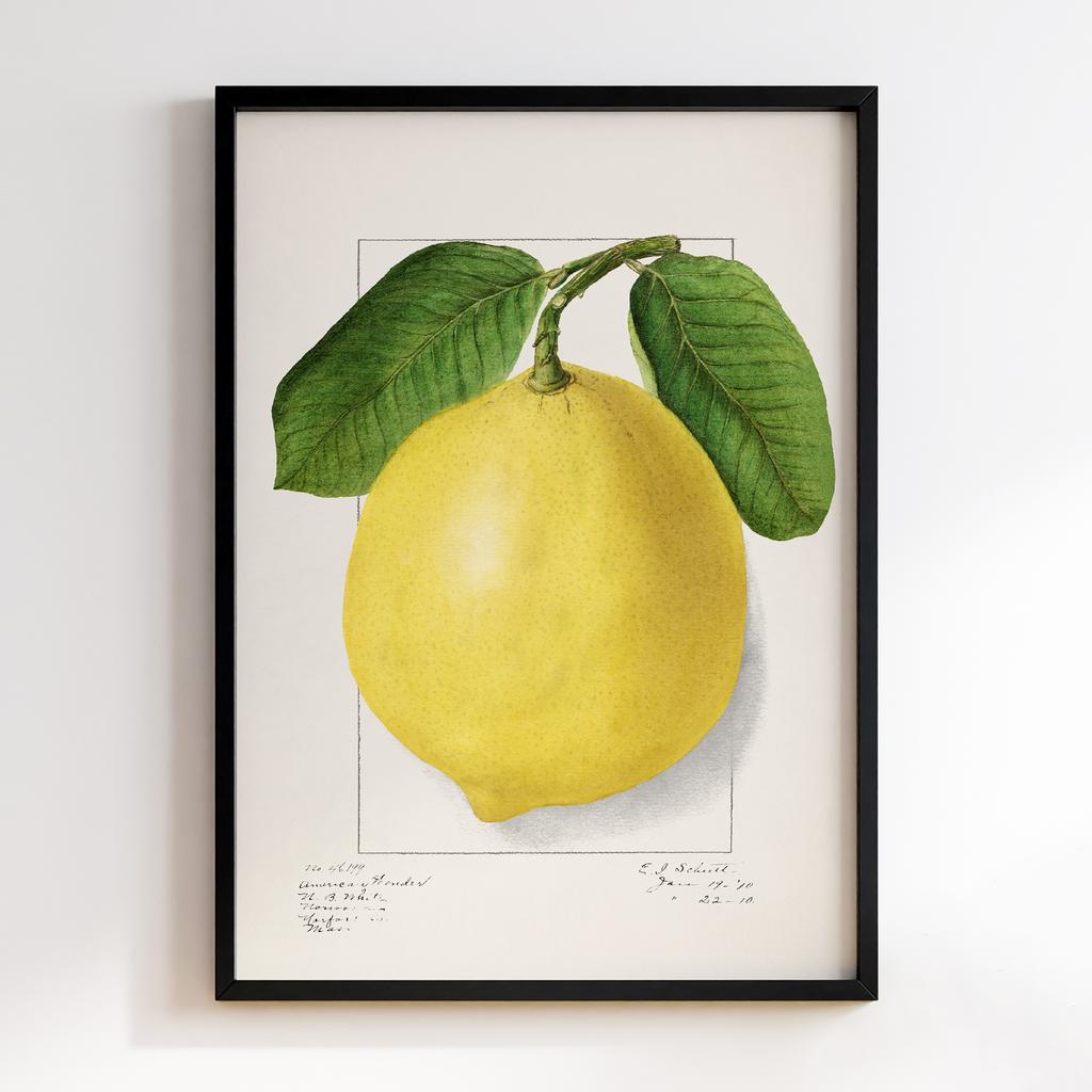 Постер на кухню Kitchen Modern Art KT067