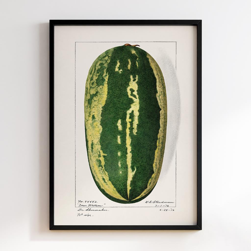 Постер на кухню Kitchen Modern Art KT068