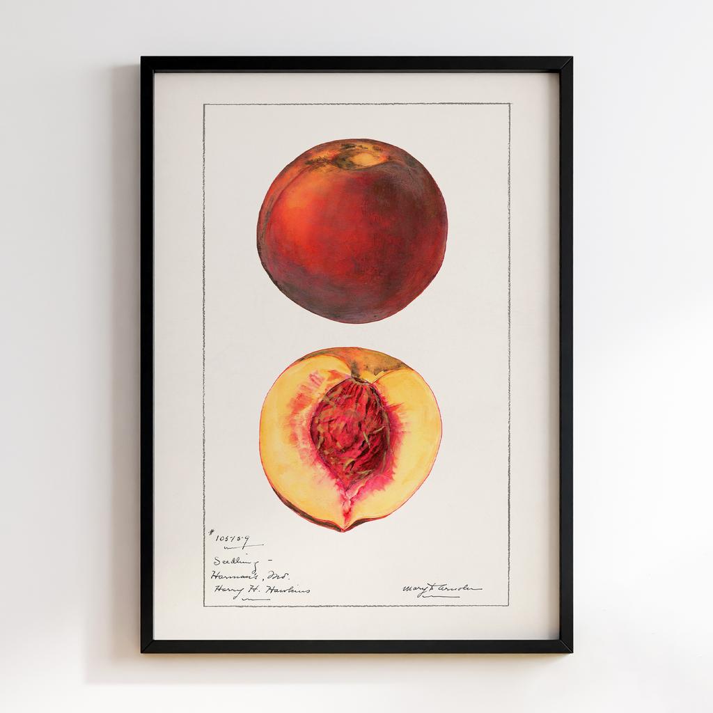 Постер на кухню Kitchen Modern Art KT071