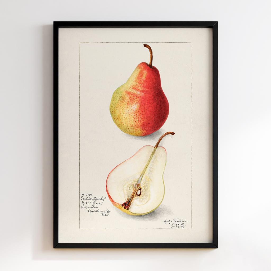 Постер на кухню Kitchen Modern Art KT072