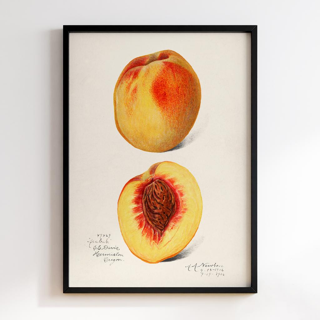 Постер на кухню Kitchen Modern Art KT073