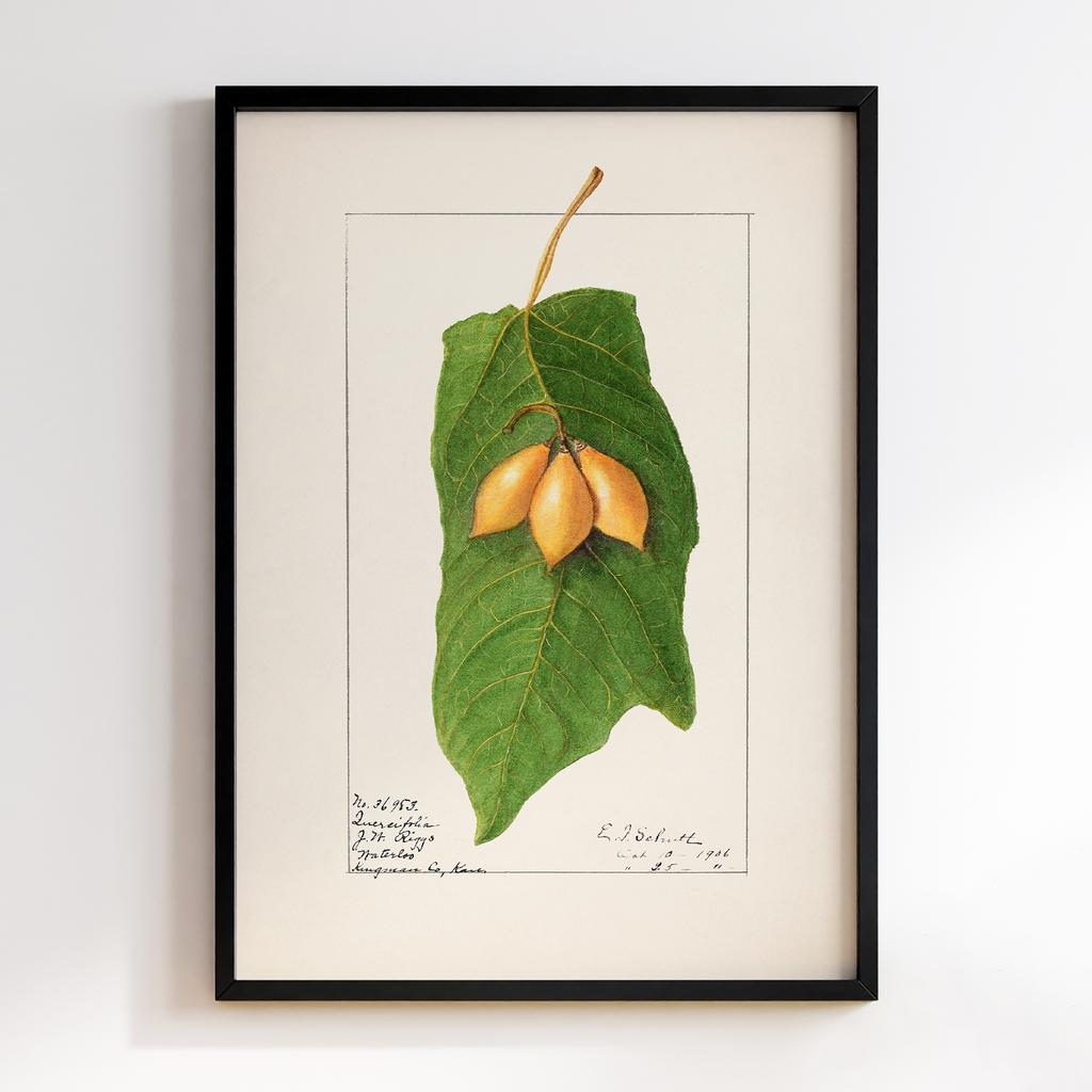 Постер на кухню Kitchen Modern Art KT074