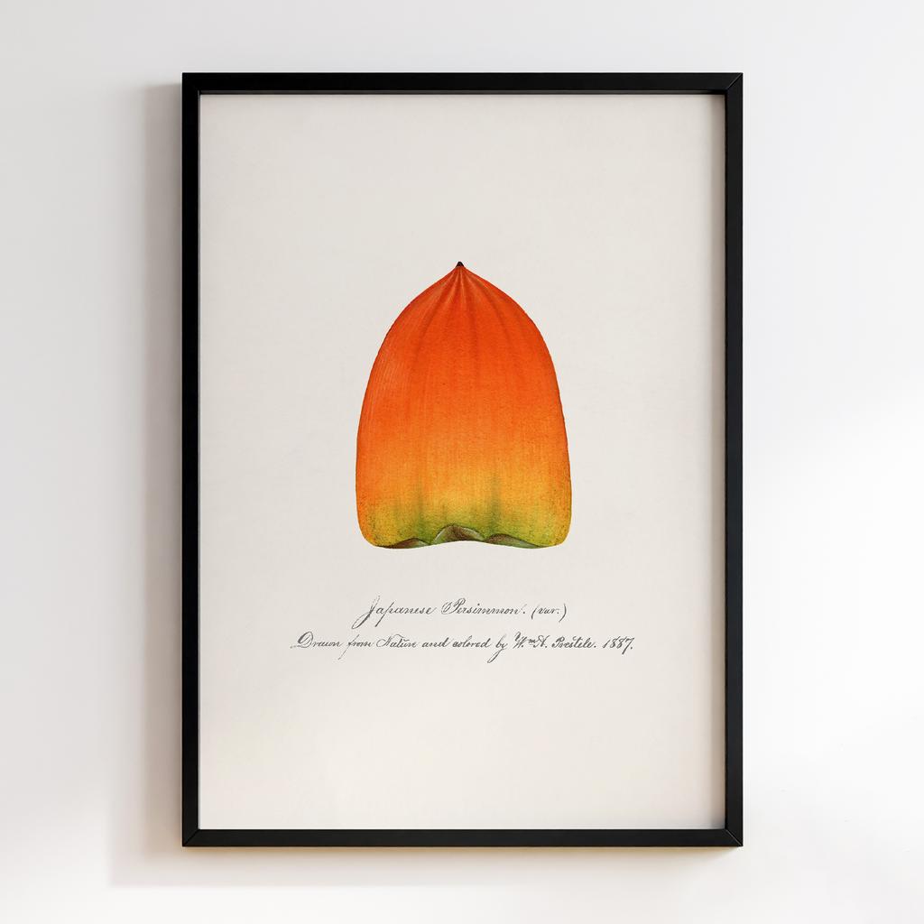 Постер на кухню Kitchen Modern Art KT076