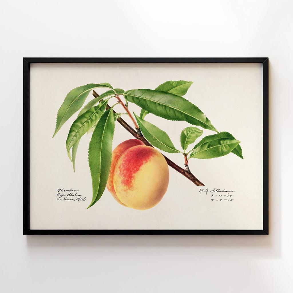 Постер на кухню Kitchen Modern Art KT077