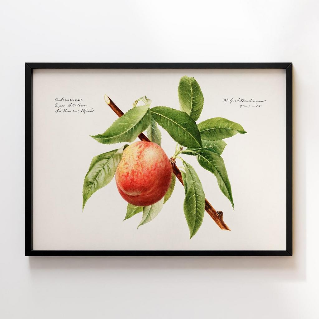 Постер на кухню Kitchen Modern Art KT078