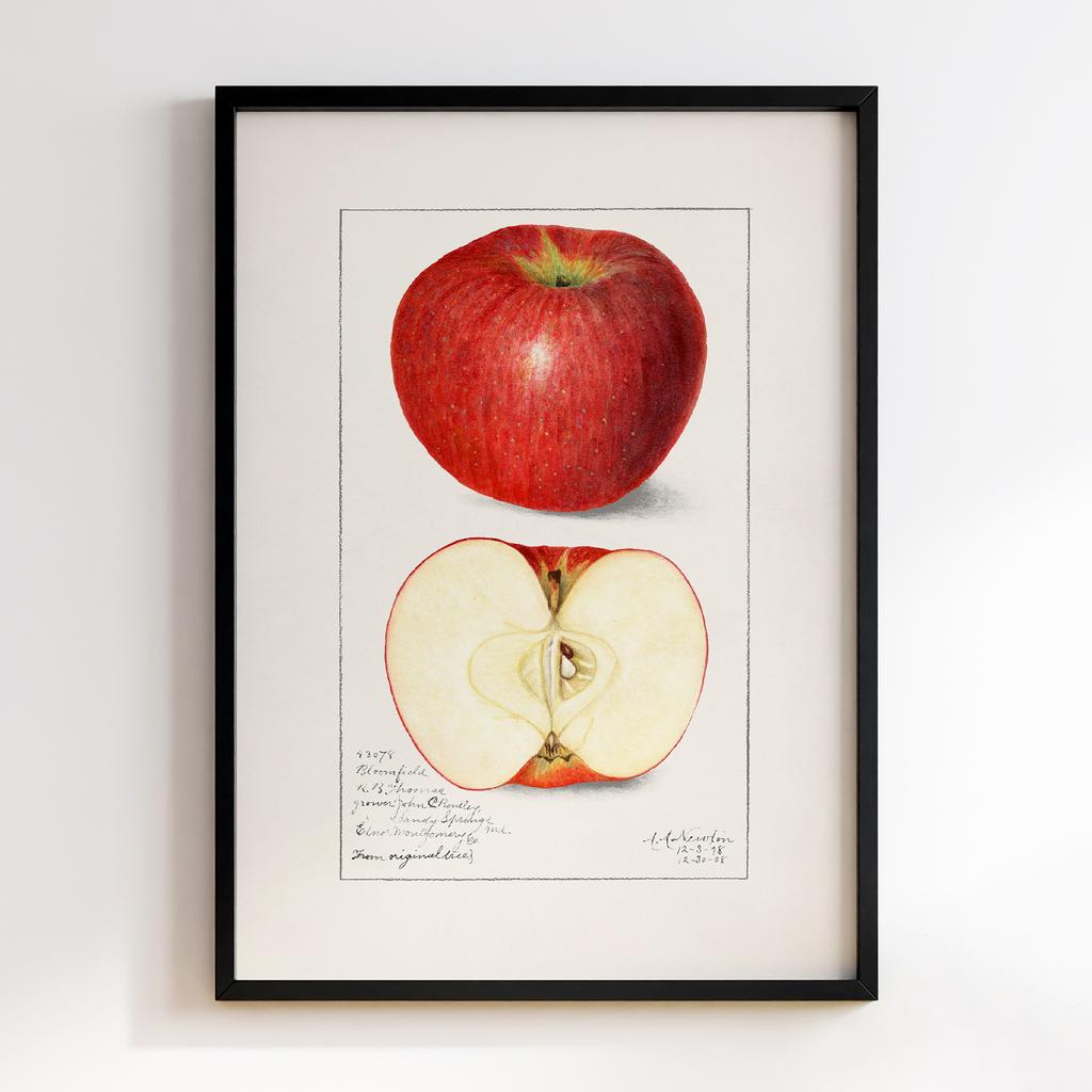 Постер на кухню Kitchen Modern Art KT079