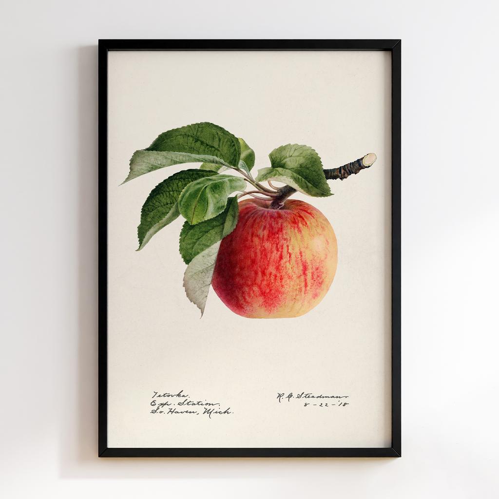 Постер на кухню Kitchen Modern Art KT080