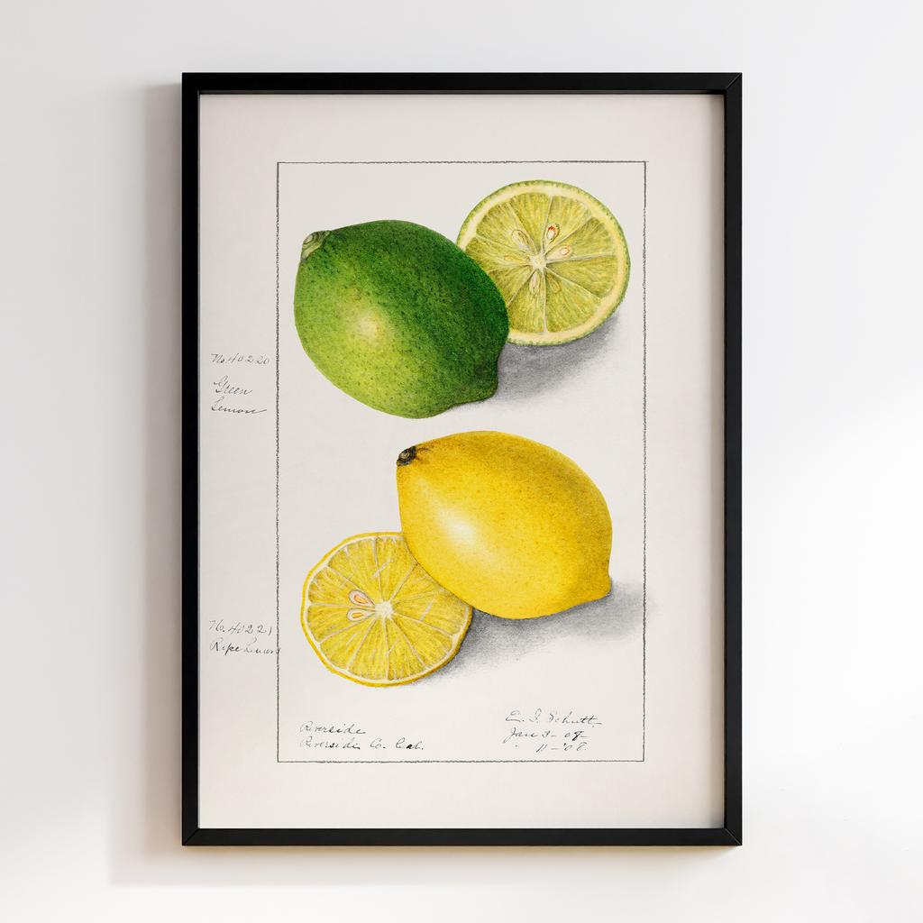 Постер на кухню Kitchen Modern Art KT084