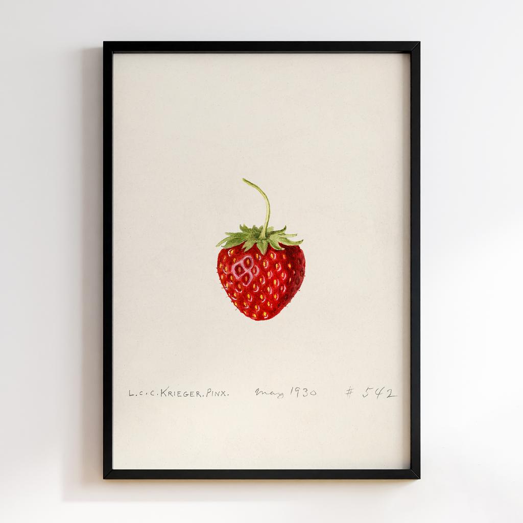 Постер на кухню Kitchen Modern Art KT085